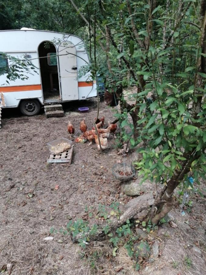 Les Roches Chambre D'Hotes Servant Kültér fotó